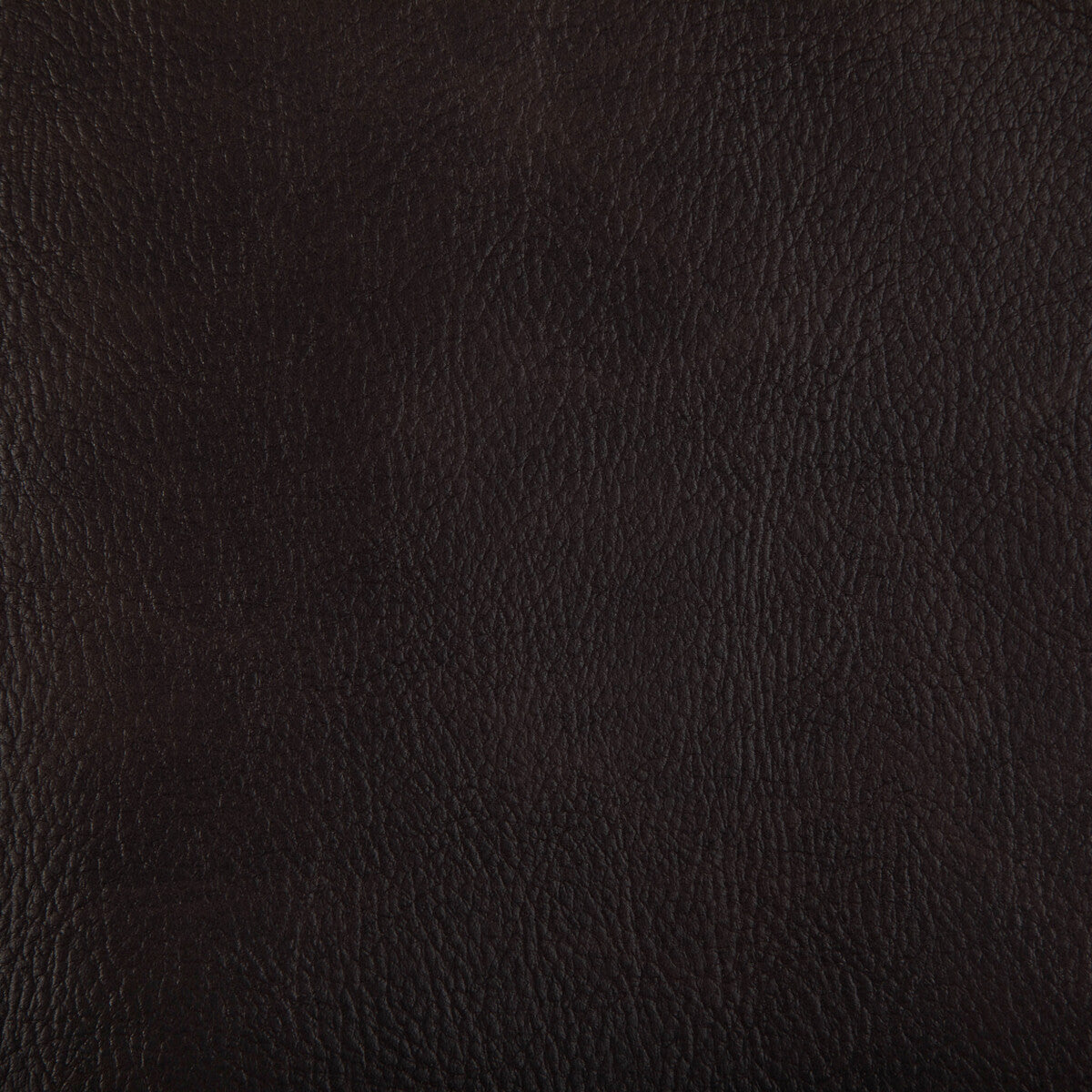 KRAVET CONTRACT TONI.84.0 TONI MAHOGANY Fabric - Eade's Wallpaper