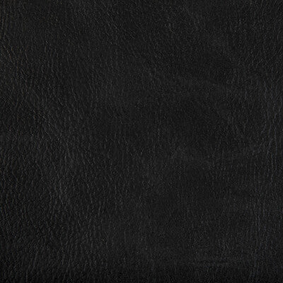 KRAVET CONTRACT TONI.8.0 TONI STALLION Fabric - Eade's Wallpaper