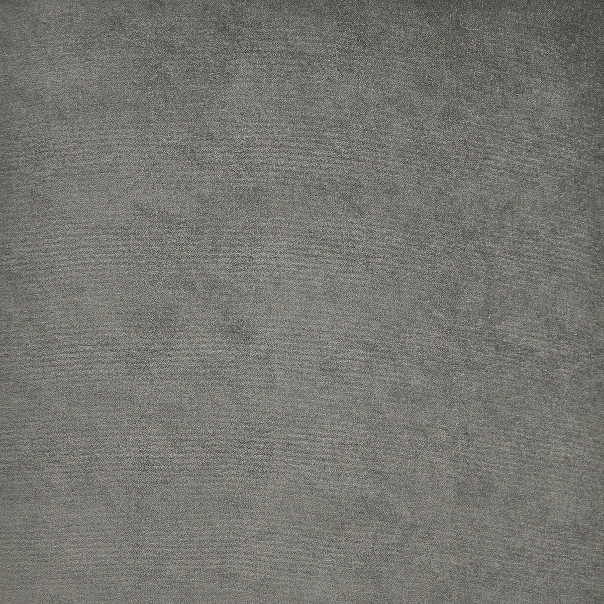 Eade’s # 766 GREY WHALE