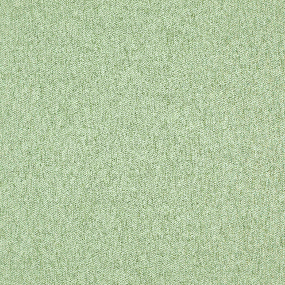 Eade’s # 13 LETTUCE