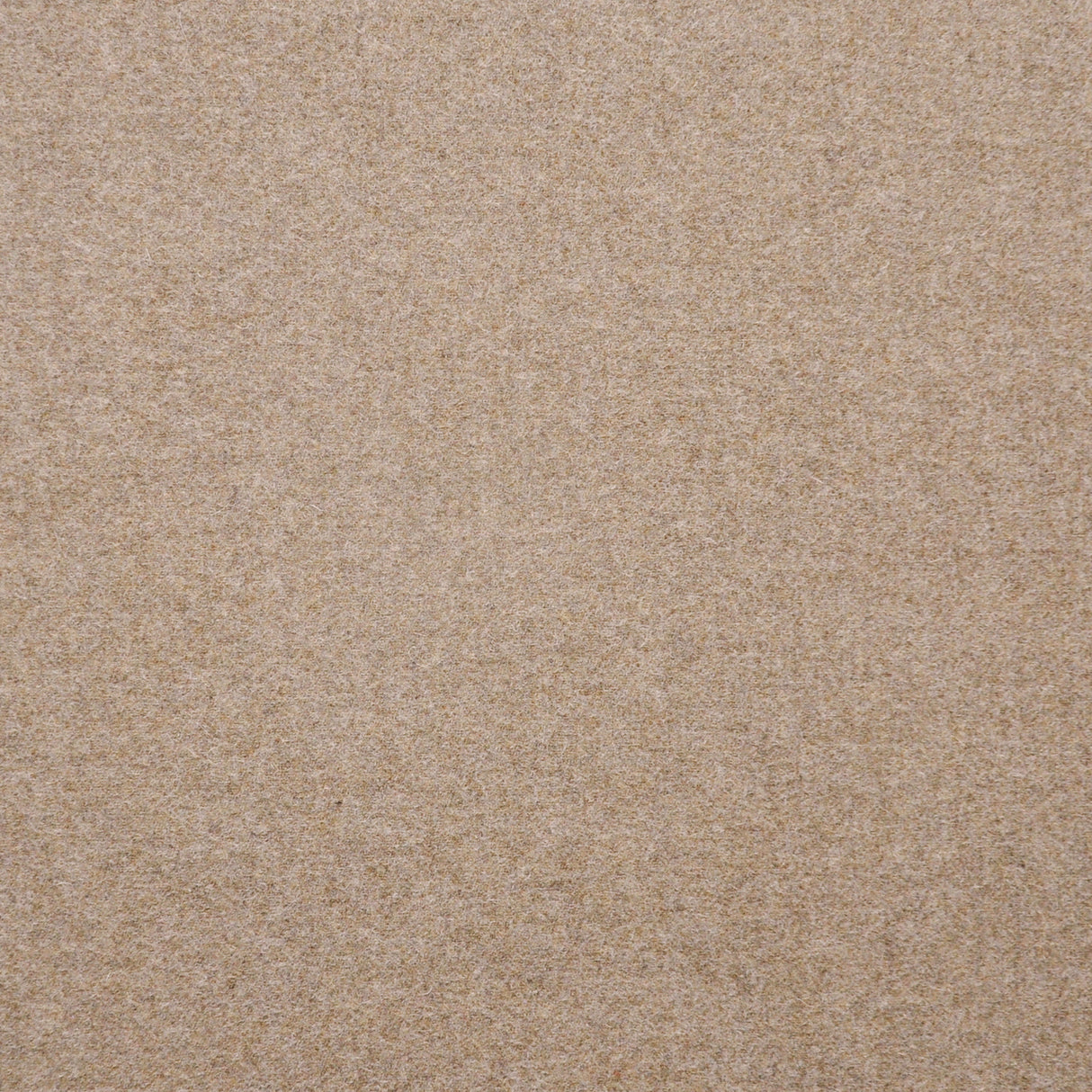 Eade’s # 603 ALMOND
