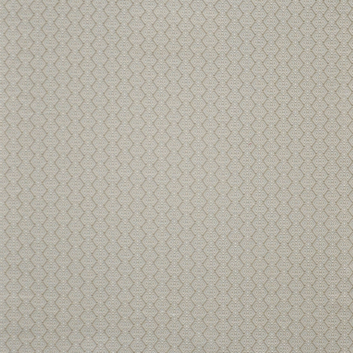 Eade’s # 936 CASHEW