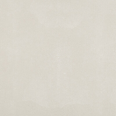 KRAVET DESIGN TREZZO.1.0 KRAVET DESIGN TREZZO-1 Fabric - Eade's Wallpaper