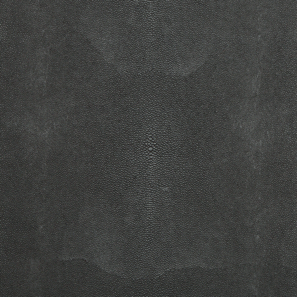 KRAVET DESIGN TREZZO.811.0 KRAVET DESIGN TREZZO-811 Fabric - Eade's Wallpaper