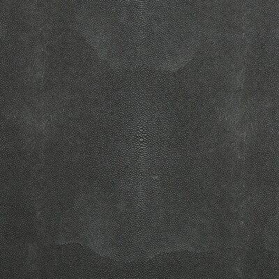 KRAVET DESIGN TREZZO.811.0 KRAVET DESIGN TREZZO-811 Fabric - Eade's Wallpaper