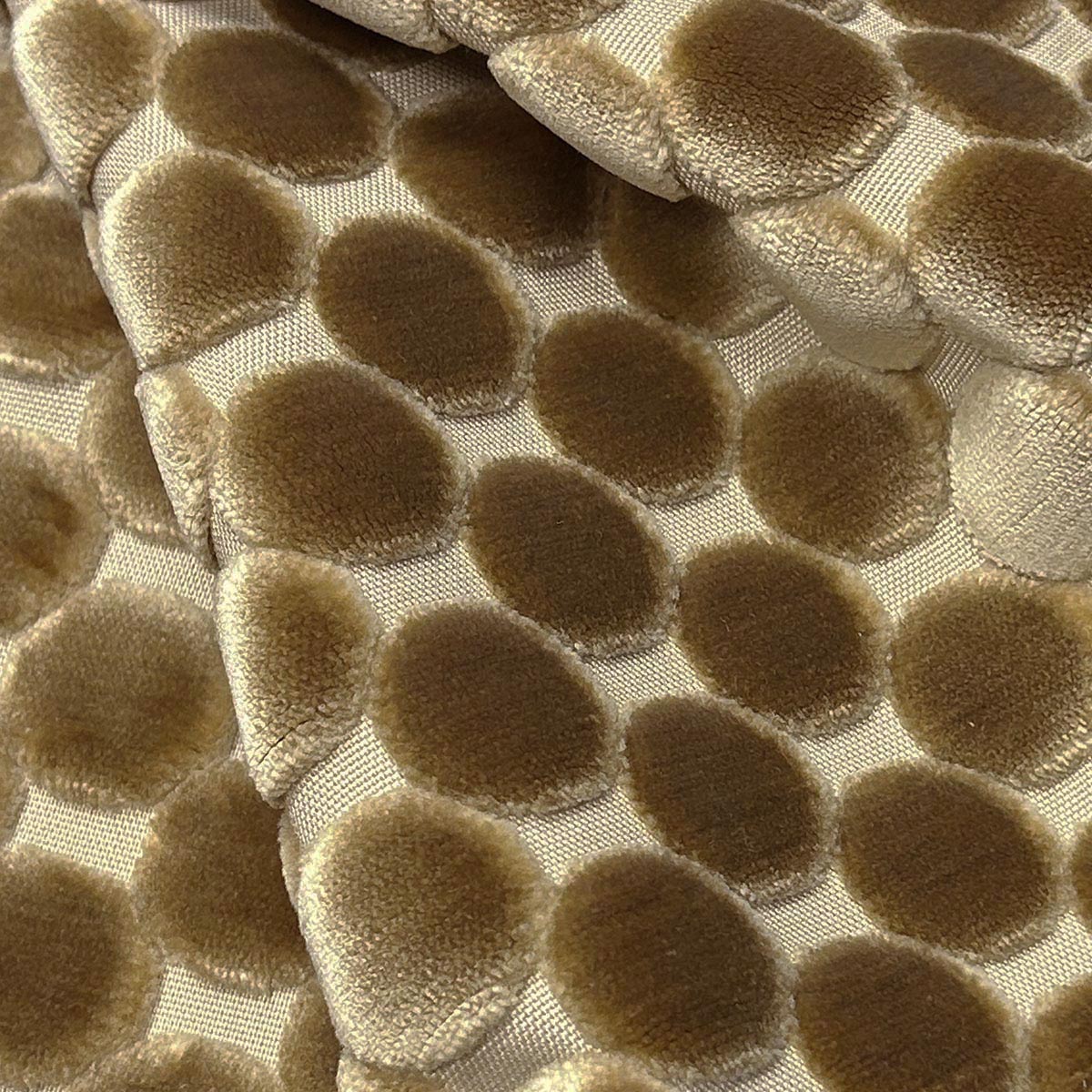 Eade’s TRODO COIN COIN