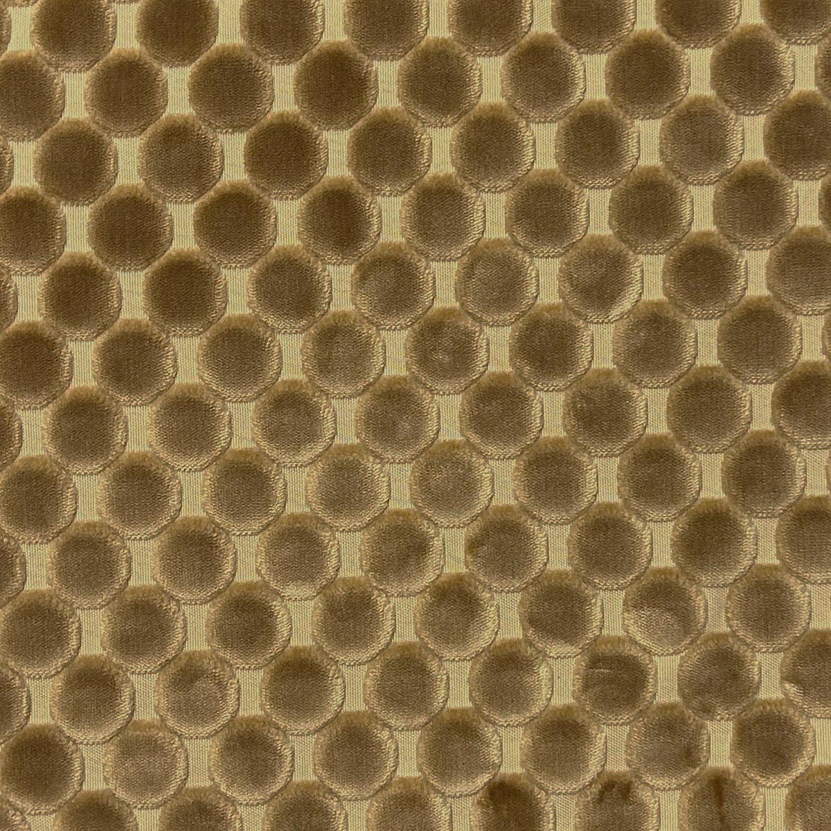 Eade’s TRODO COIN COIN