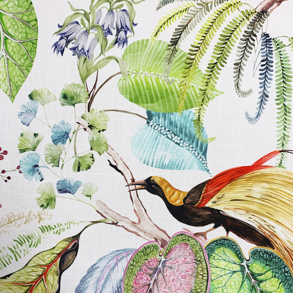 Eade’s TROPIC FESTIVAL FESTIVAL