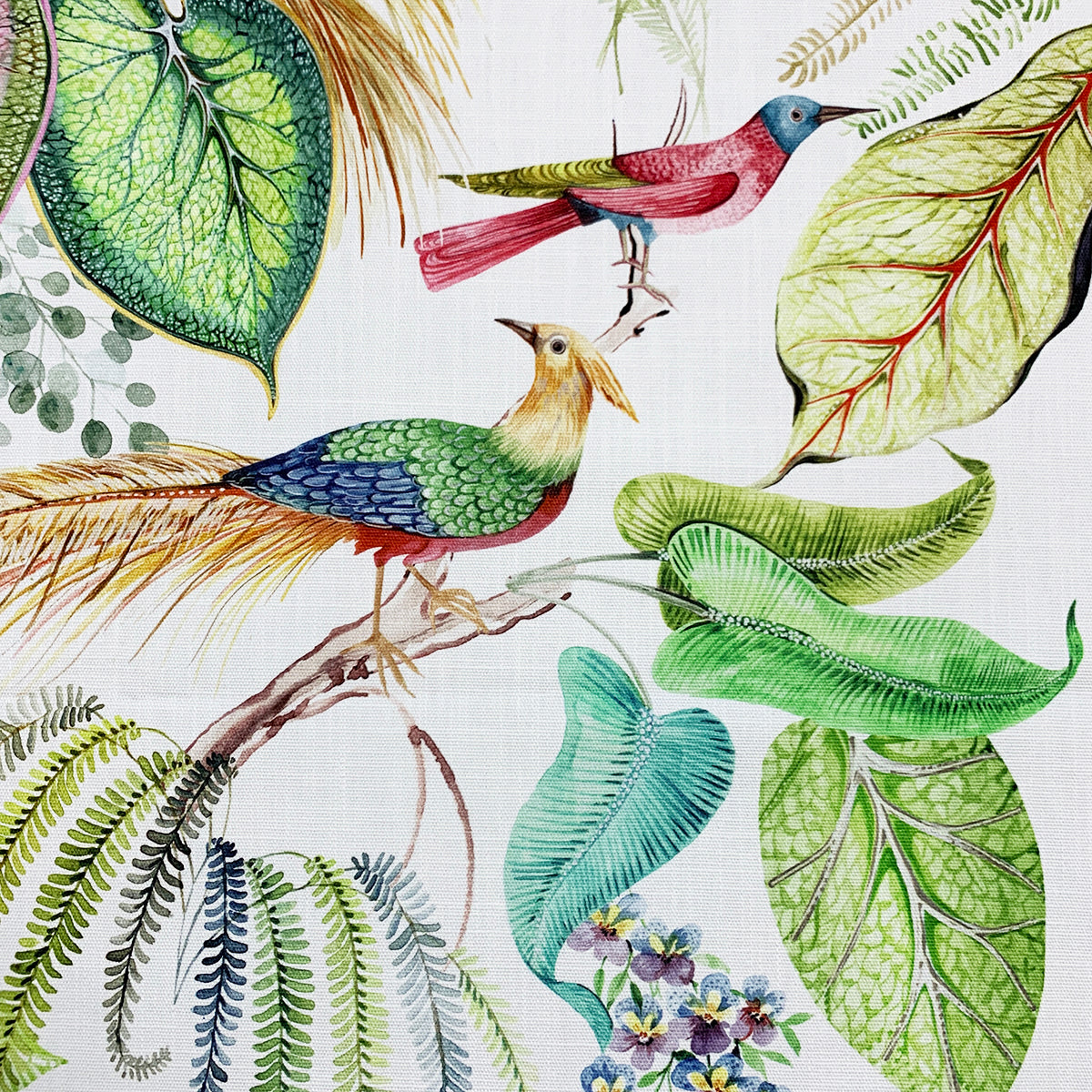 Eade’s TROPIC FESTIVAL FESTIVAL