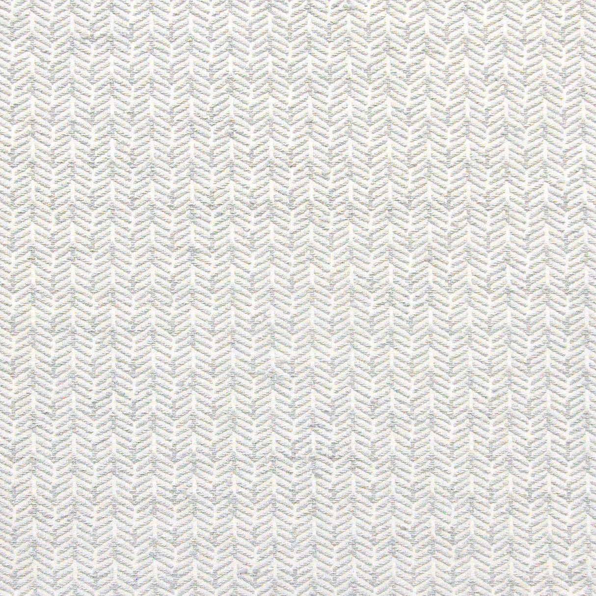 Eade’s # 419 FLASH