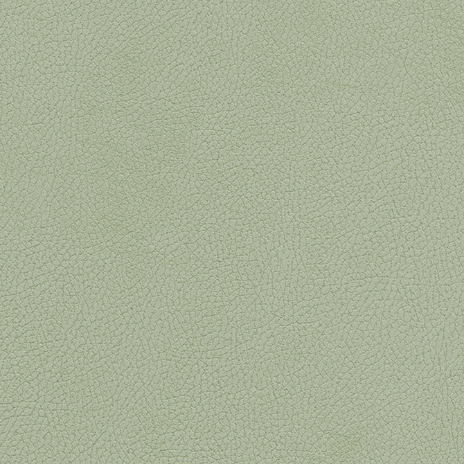 Eade’s # 115 SPRIG