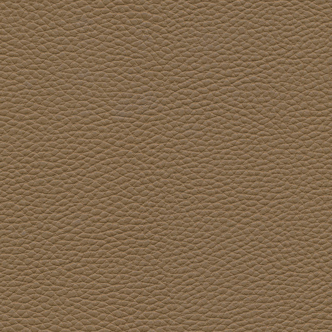 Eade’s # 145 COCONUT