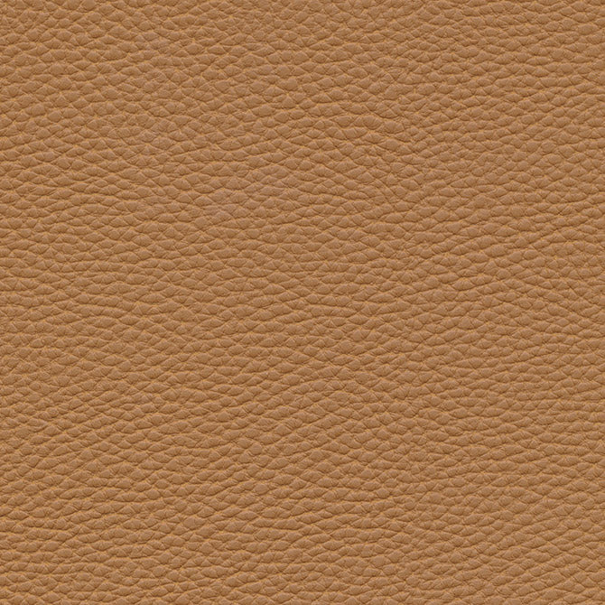 Eade’s # 150 PINTO