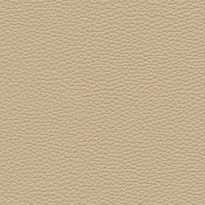 Eade’s # 152 BIRCH