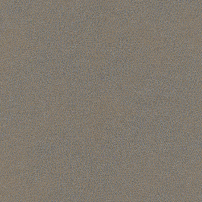 Eade’s # 863 LUSITANO