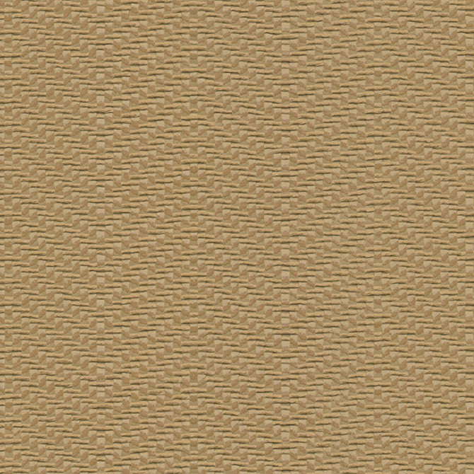 Eade’s # 983 KILIMANJARO