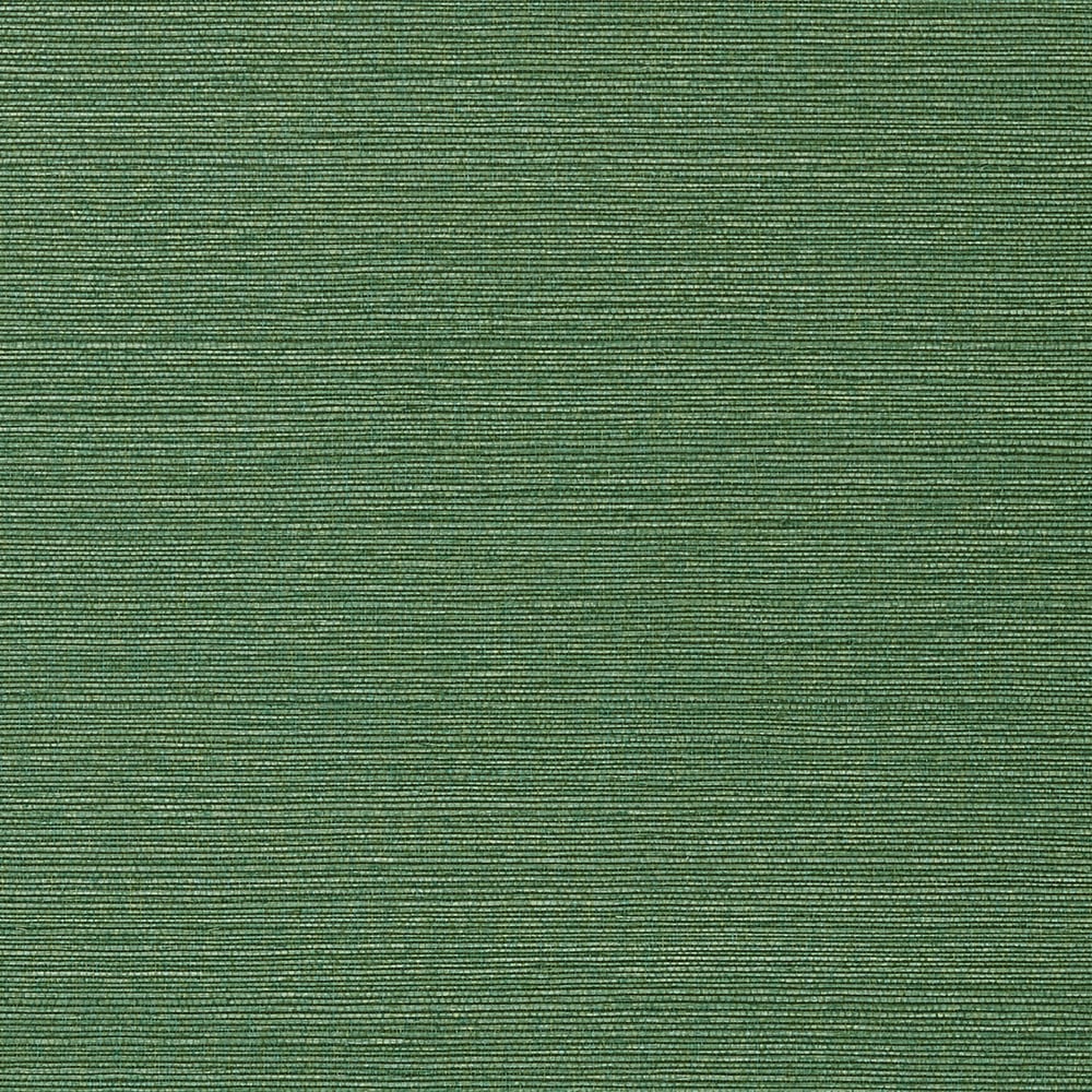 Thibaut TALUK SISAL WIDE WIDTH TWW75154 in Green Wallpaper -