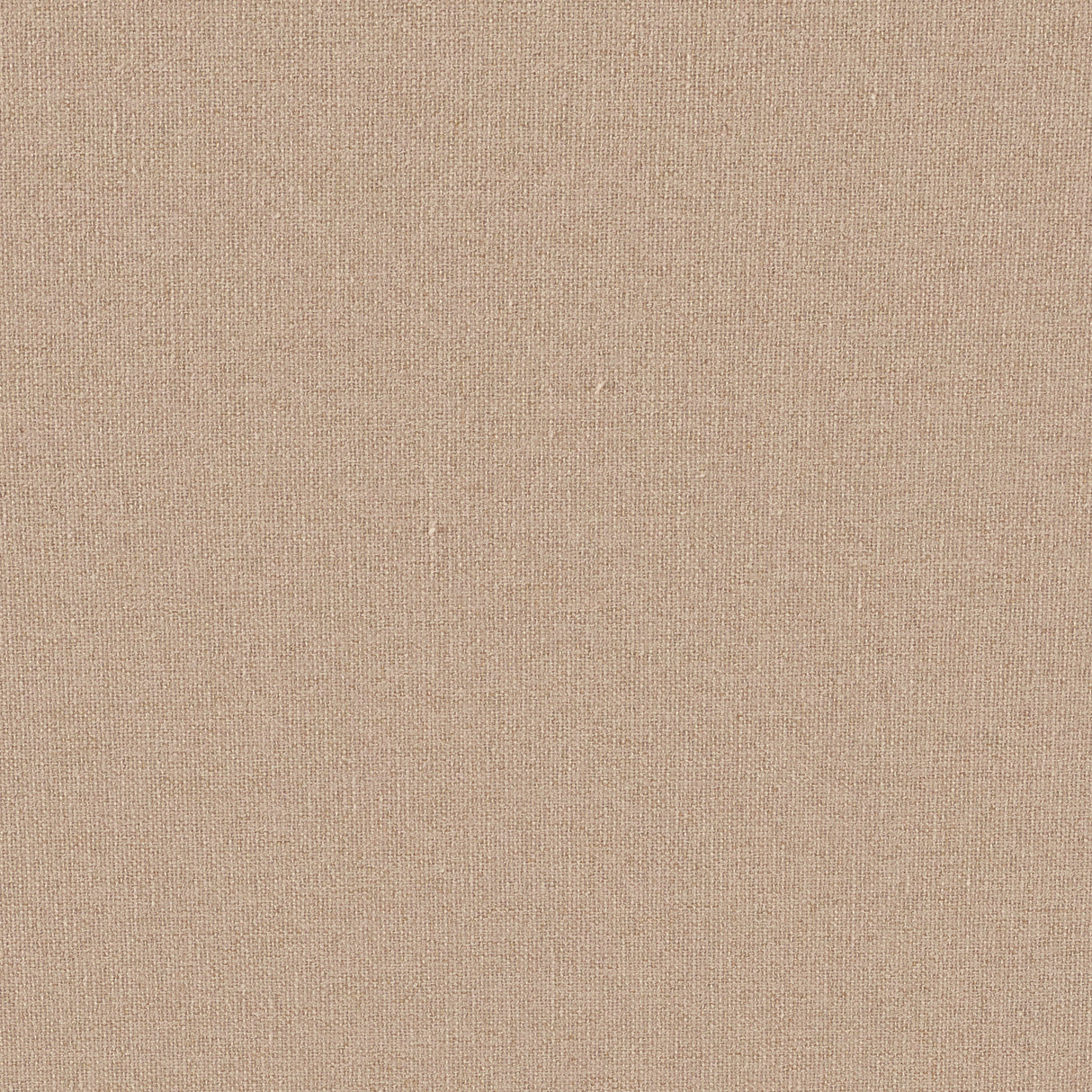 Eade’s # 206 LATTE