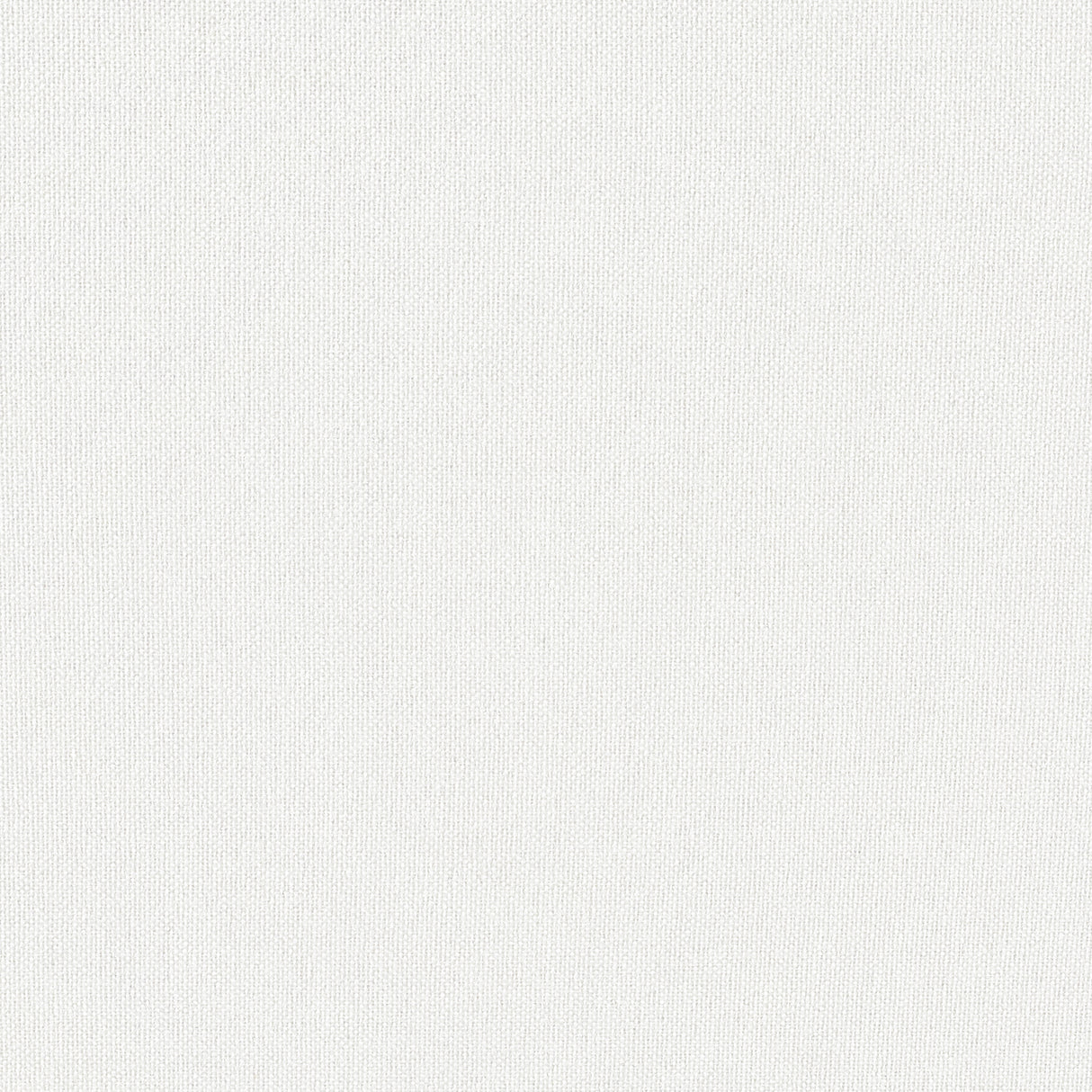 Eade’s # 225 EGRET