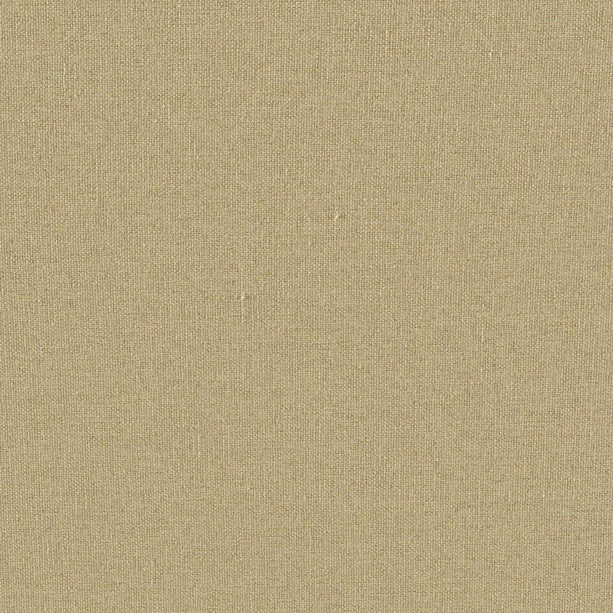 Eade’s # 260 OLIVE