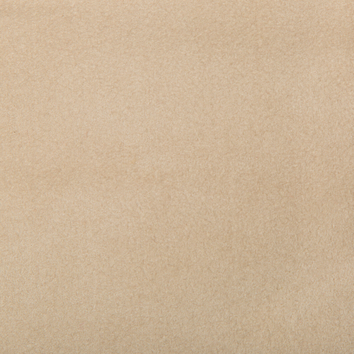 KRAVET DESIGN ULTRASUEDE.1616.0 ULTRASUEDE CANVAS Fabric - Eade's Wallpaper