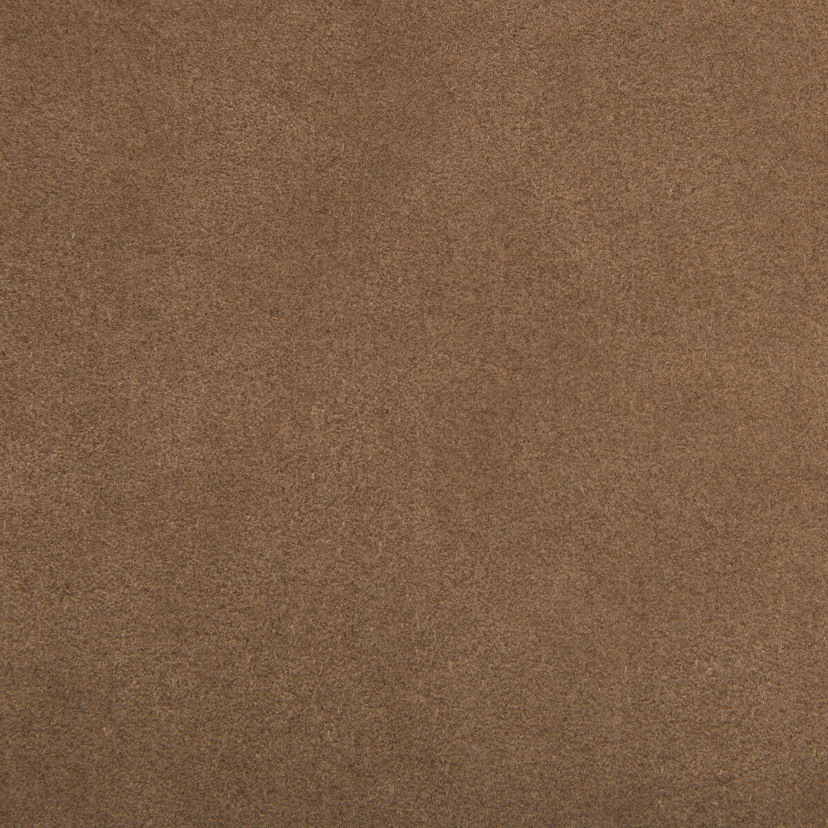 KRAVET DESIGN ULTRASUEDE.6.0 ULTRASUEDE MOLE SKIN Fabric - Eade's Wallpaper