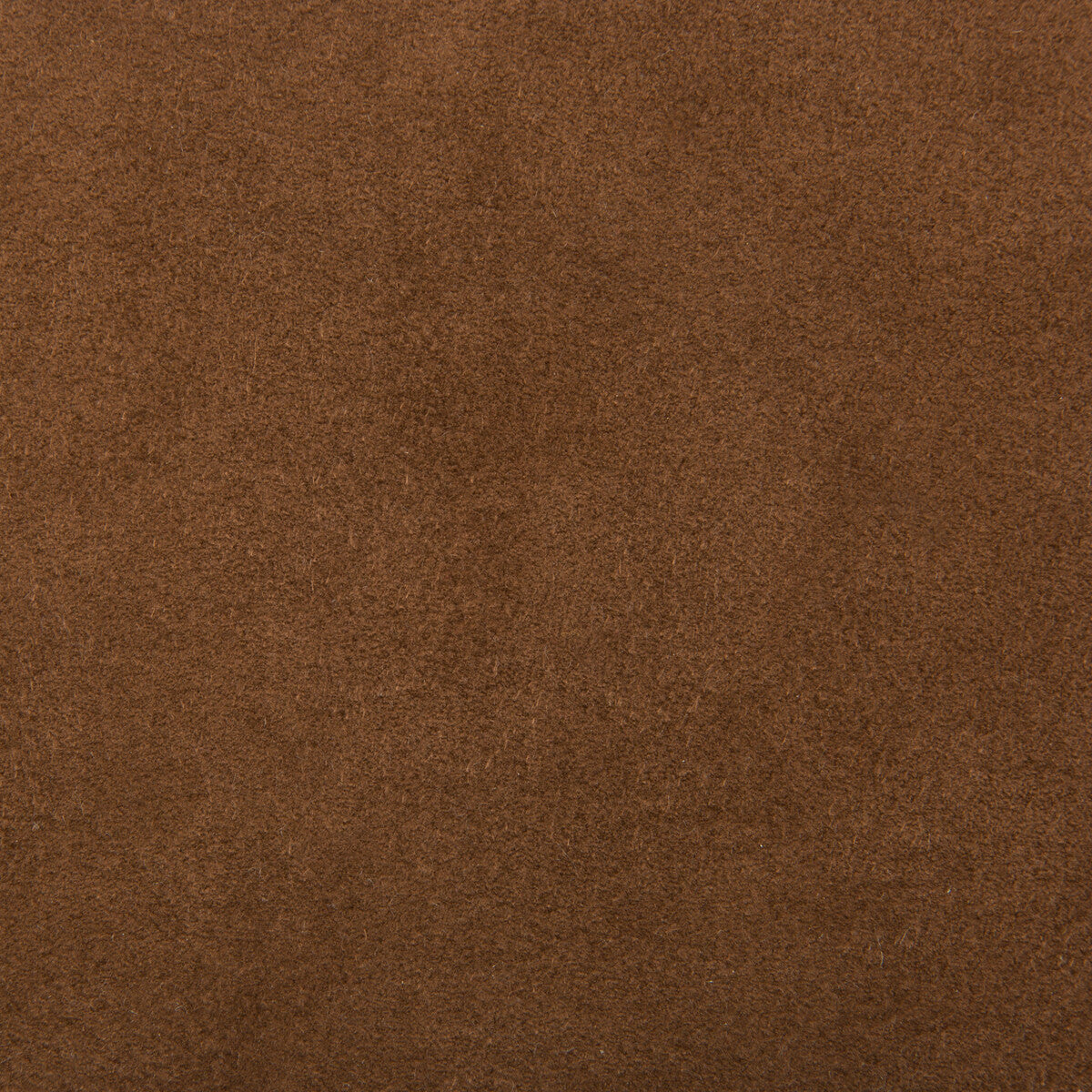 KRAVET DESIGN ULTRASUEDE.61.0 ULTRASUEDE ROOT Fabric - Eade's Wallpaper