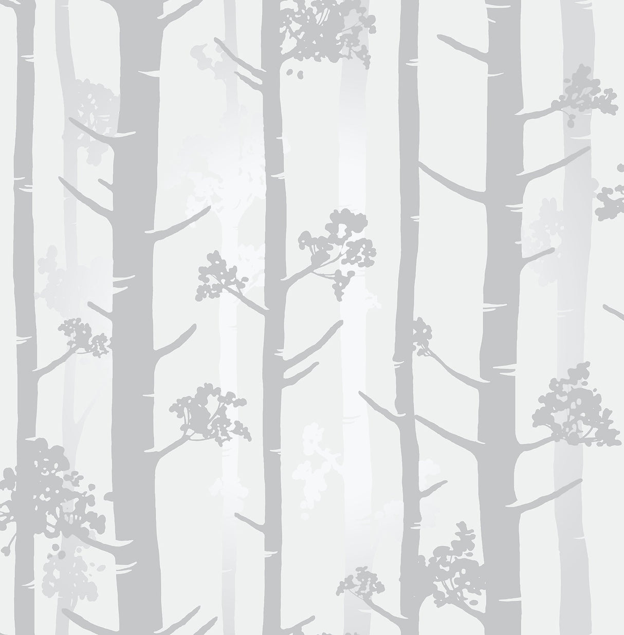 Brewster UW24779 Sydow Grey Birch Tree Wallpaper