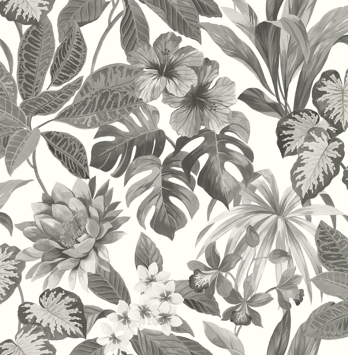 Brewster UW25892 Josefa Ash Tropical Wallpaper