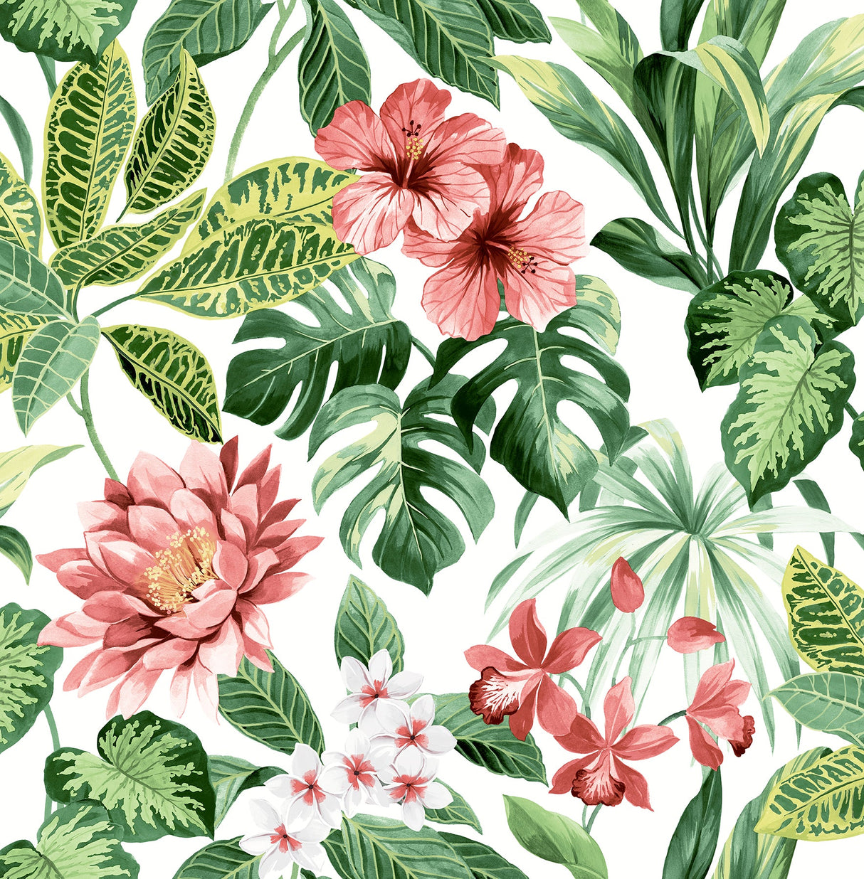 Brewster UW25893 Josefa Green Tropical Wallpaper