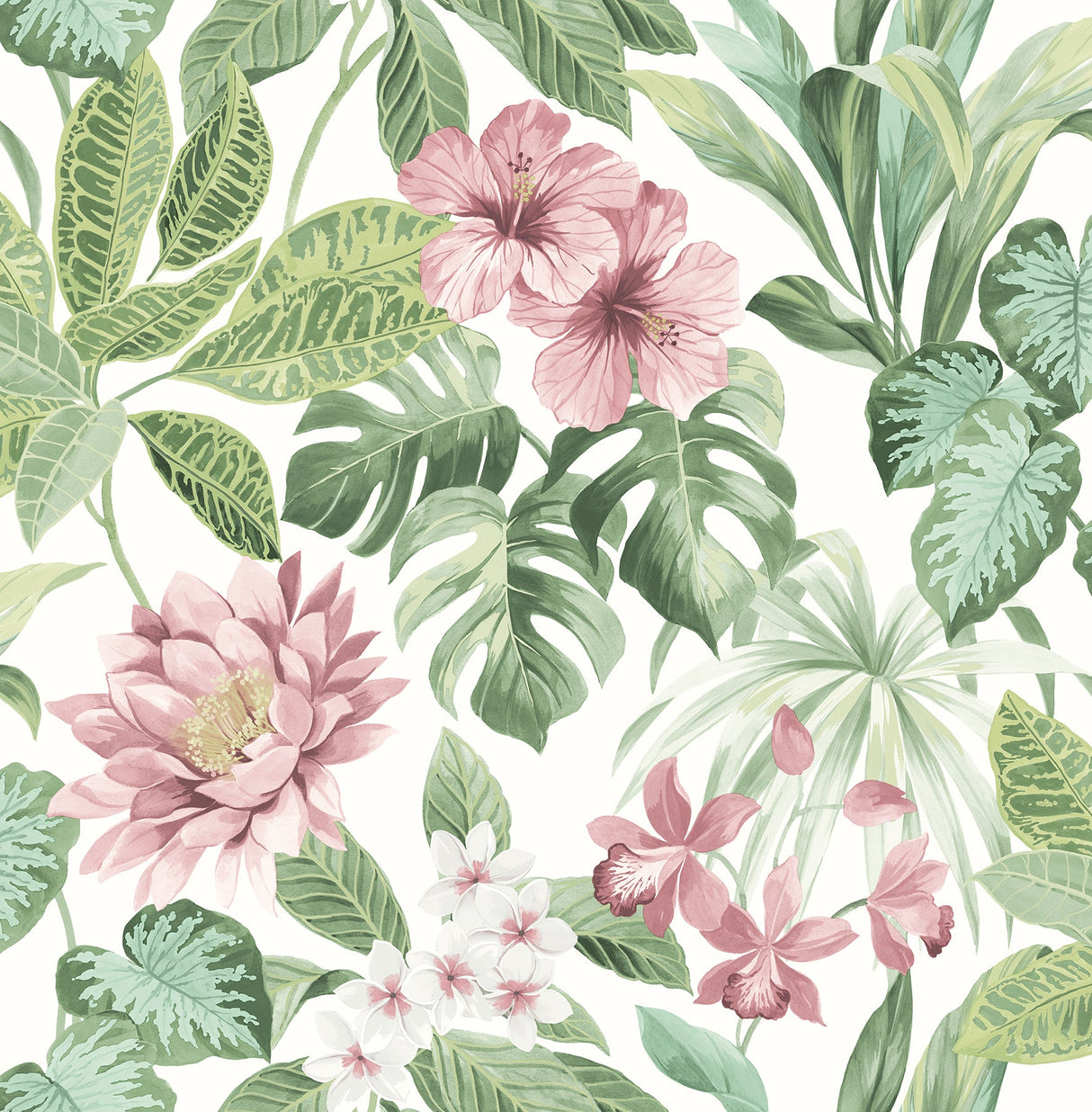 Brewster UW25894 Josefa light green Tropical Wallpaper