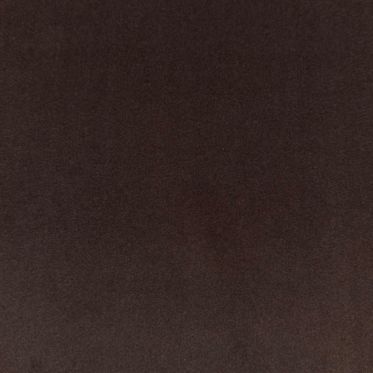 Eade’s VASTO CHESTNUT CHESTNUT