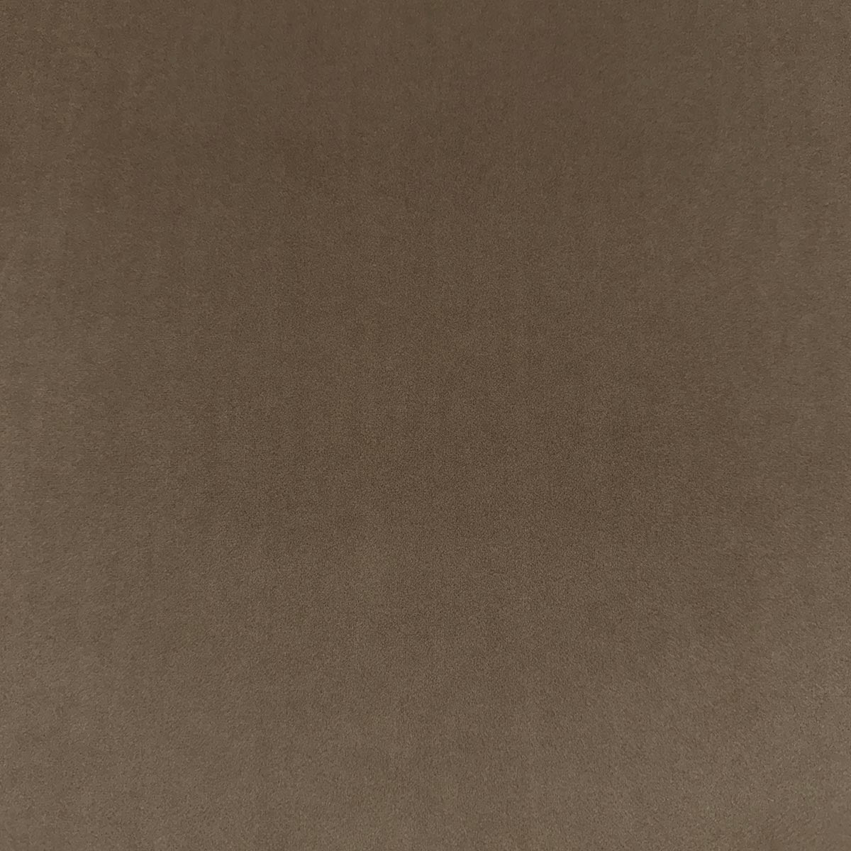 Eade’s VASTO MUSHROOM MUSHROOM