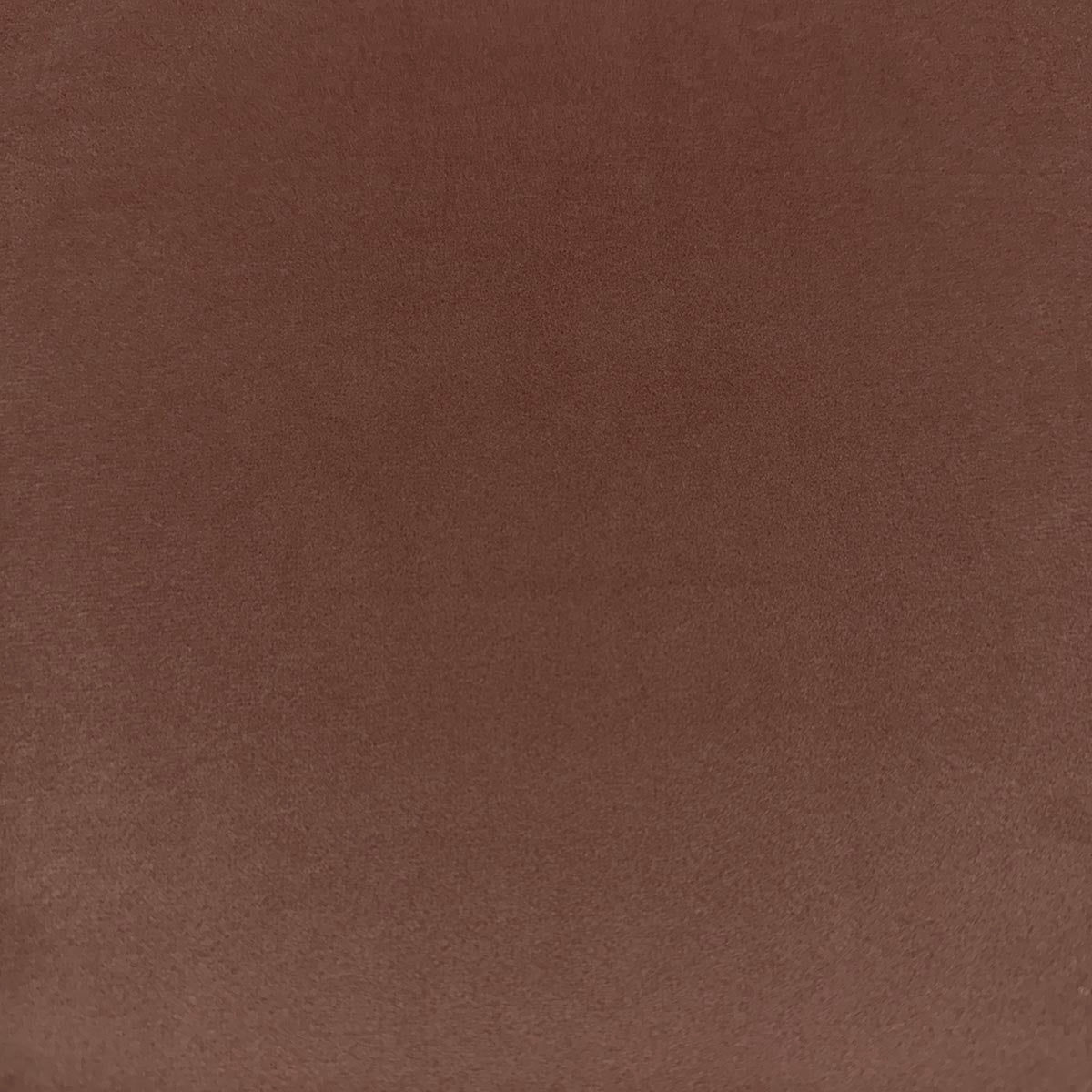 Eade’s VASTO PEONY PEONY