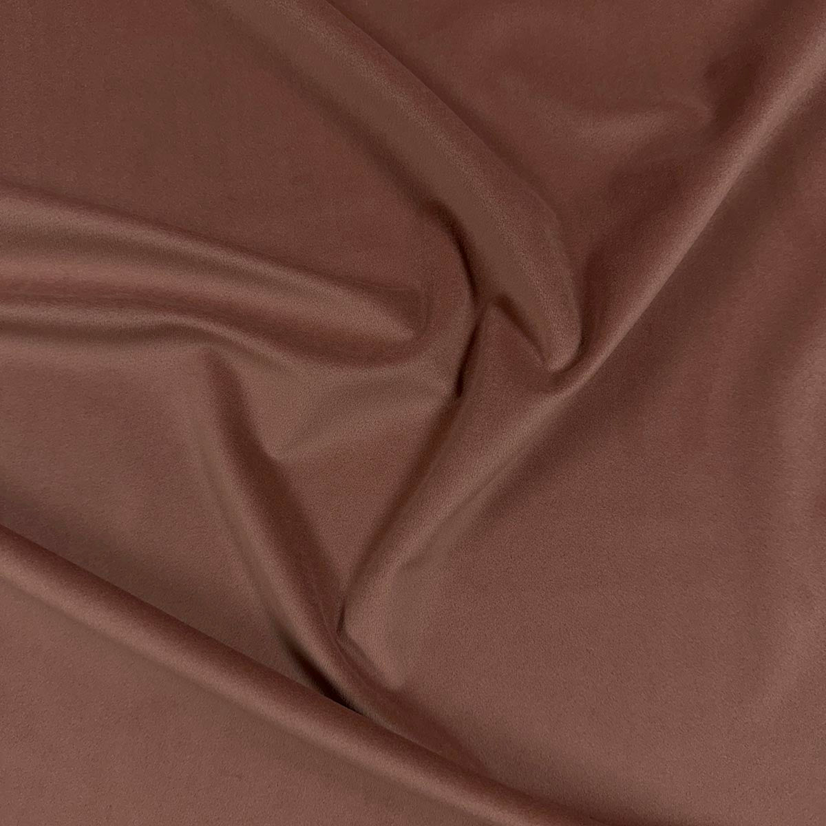 Eade’s VASTO PEONY PEONY