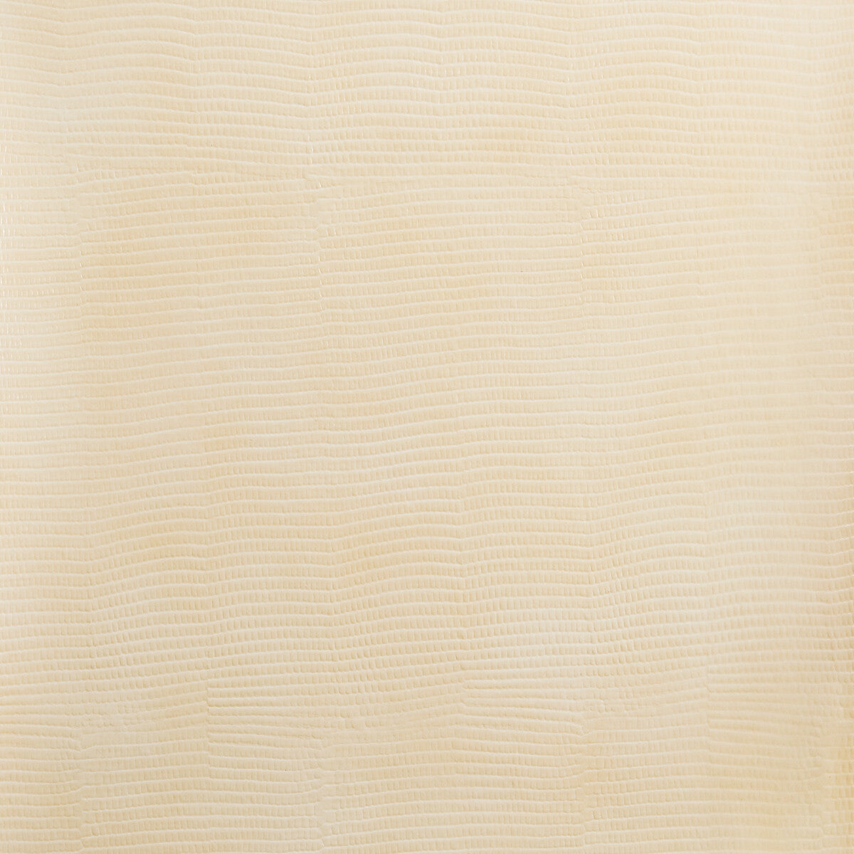KRAVET DESIGN VELA.16.0 KRAVET DESIGN VELA-16 Fabric - Eade's Wallpaper
