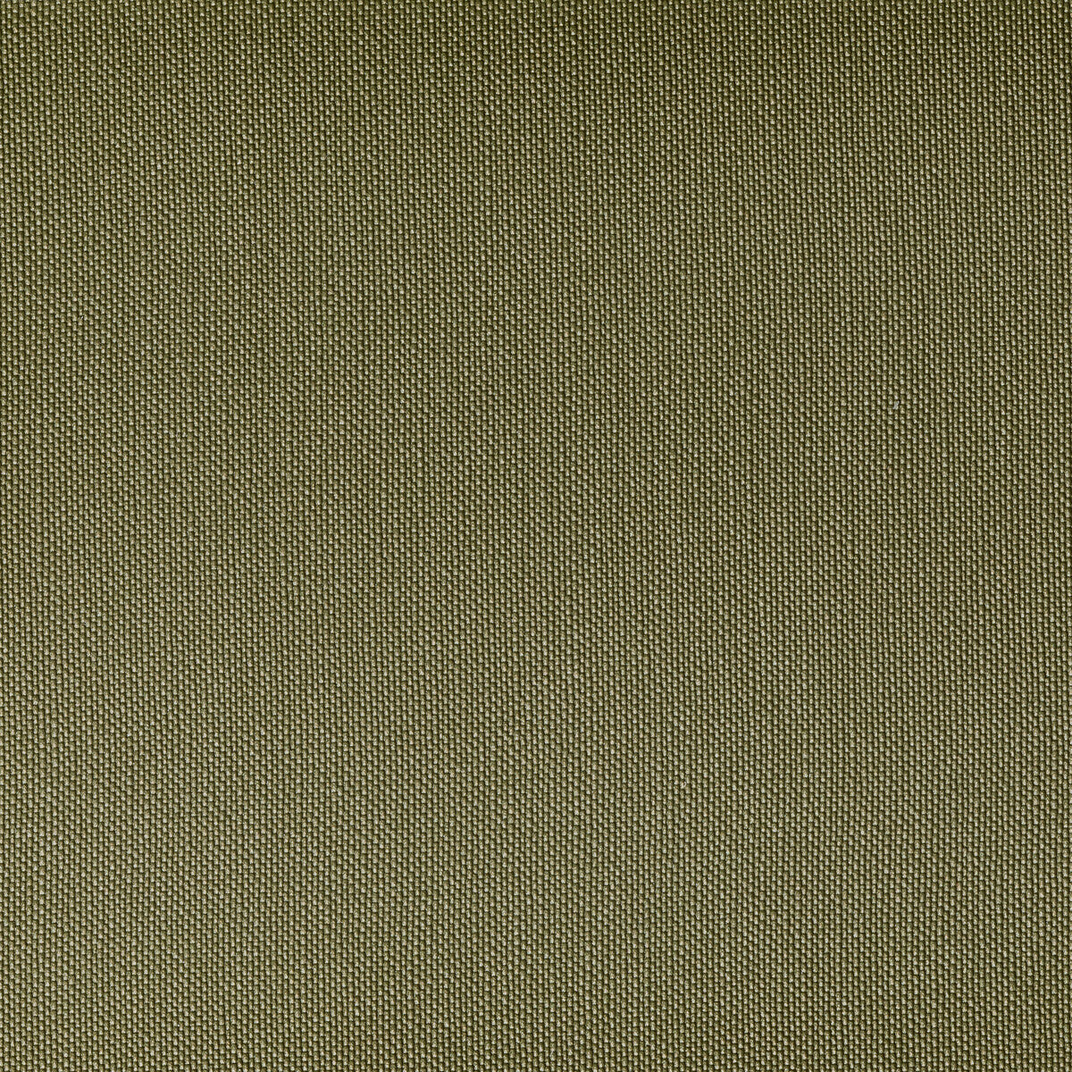 KRAVET CONTRACT VENTURA.130.0 VENTURA WILLOW Fabric - Eade's Wallpaper