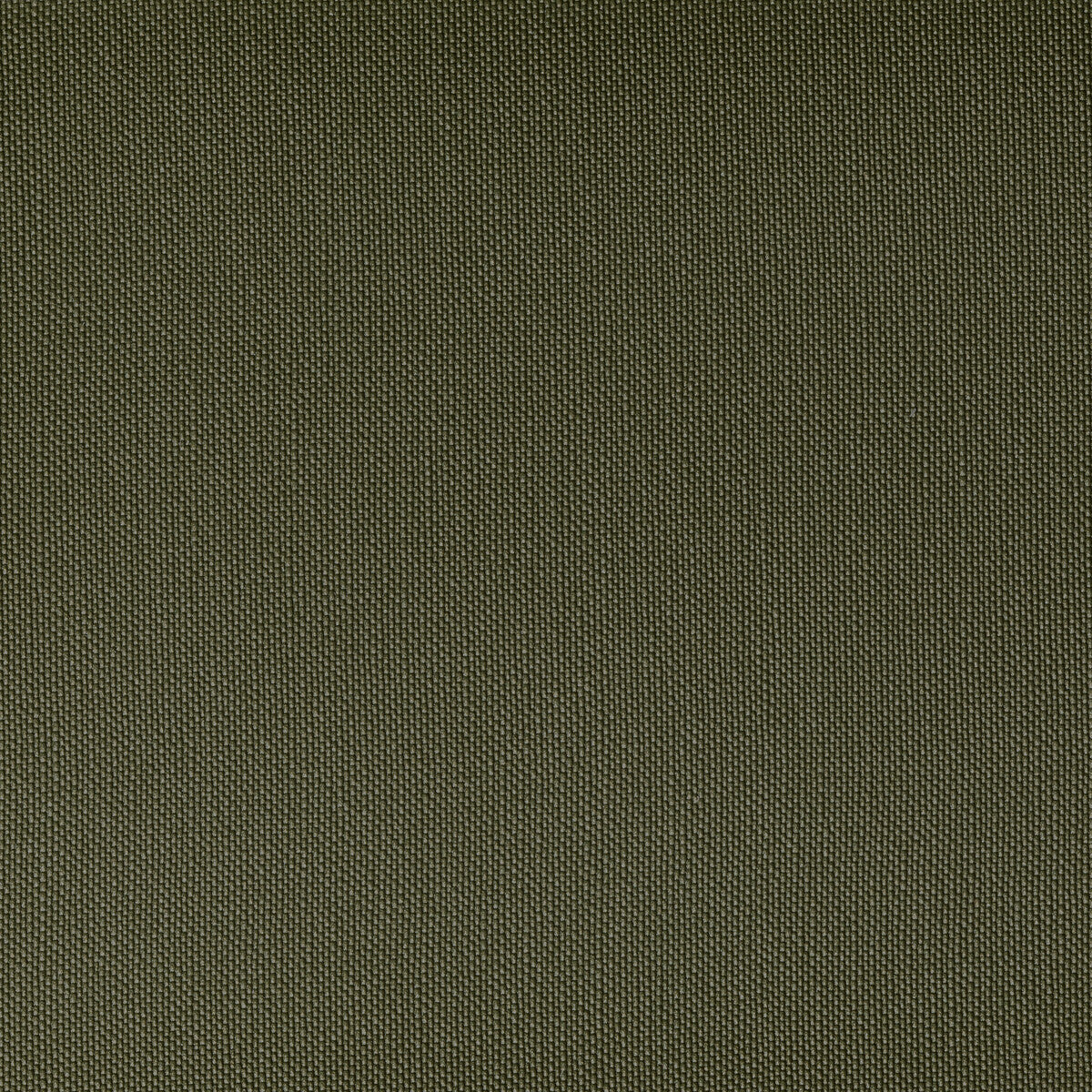 KRAVET CONTRACT VENTURA.3.0 VENTURA CACTUS Fabric - Eade's Wallpaper