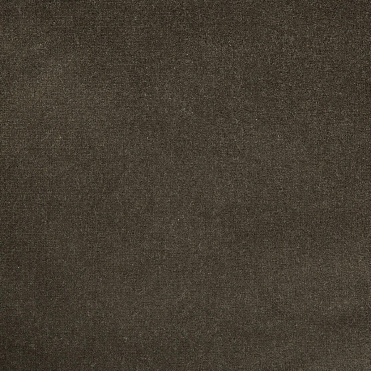 KRAVET DESIGN VERSAILLES.E20506.0 KRAVET DESIGN VERSAILLES-E205060 Fabric - Eade's Wallpaper