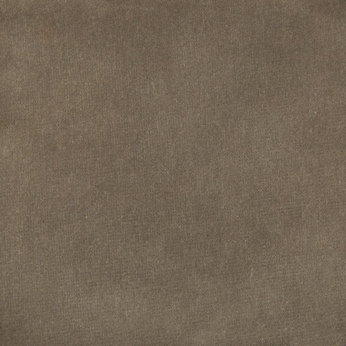 KRAVET DESIGN VERSAILLES.E20514.0 KRAVET DESIGN VERSAILLES-E205140 Fabric - Eade's Wallpaper