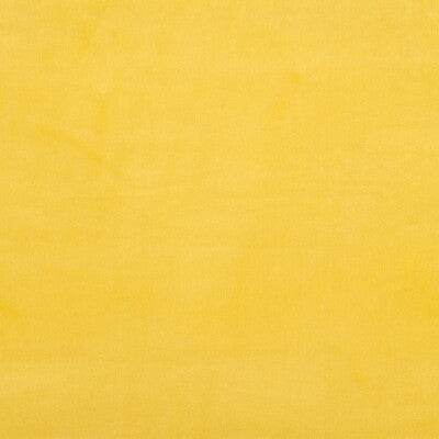 KRAVET DESIGN VERSAILLES.E21303.0 KRAVET DESIGN VERSAILLES-E213030 Fabric - Eade's Wallpaper