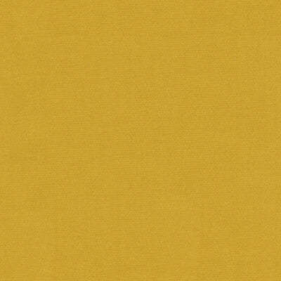 KRAVET DESIGN VERSAILLES.E21410.0 KRAVET DESIGN VERSAILLES-E214100 Fabric - Eade's Wallpaper