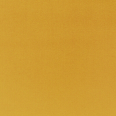 KRAVET DESIGN VERSAILLES.E21501.0 KRAVET DESIGN VERSAILLES-E215010 Fabric - Eade's Wallpaper