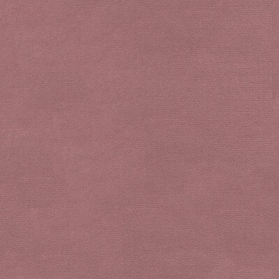 KRAVET DESIGN VERSAILLES.E22923.0 KRAVET DESIGN VERSAILLES-E229230 Fabric - Eade's Wallpaper