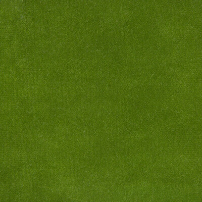 KRAVET DESIGN VERSAILLES.E26304.0 KRAVET DESIGN VERSAILLES-E263040 Fabric - Eade's Wallpaper