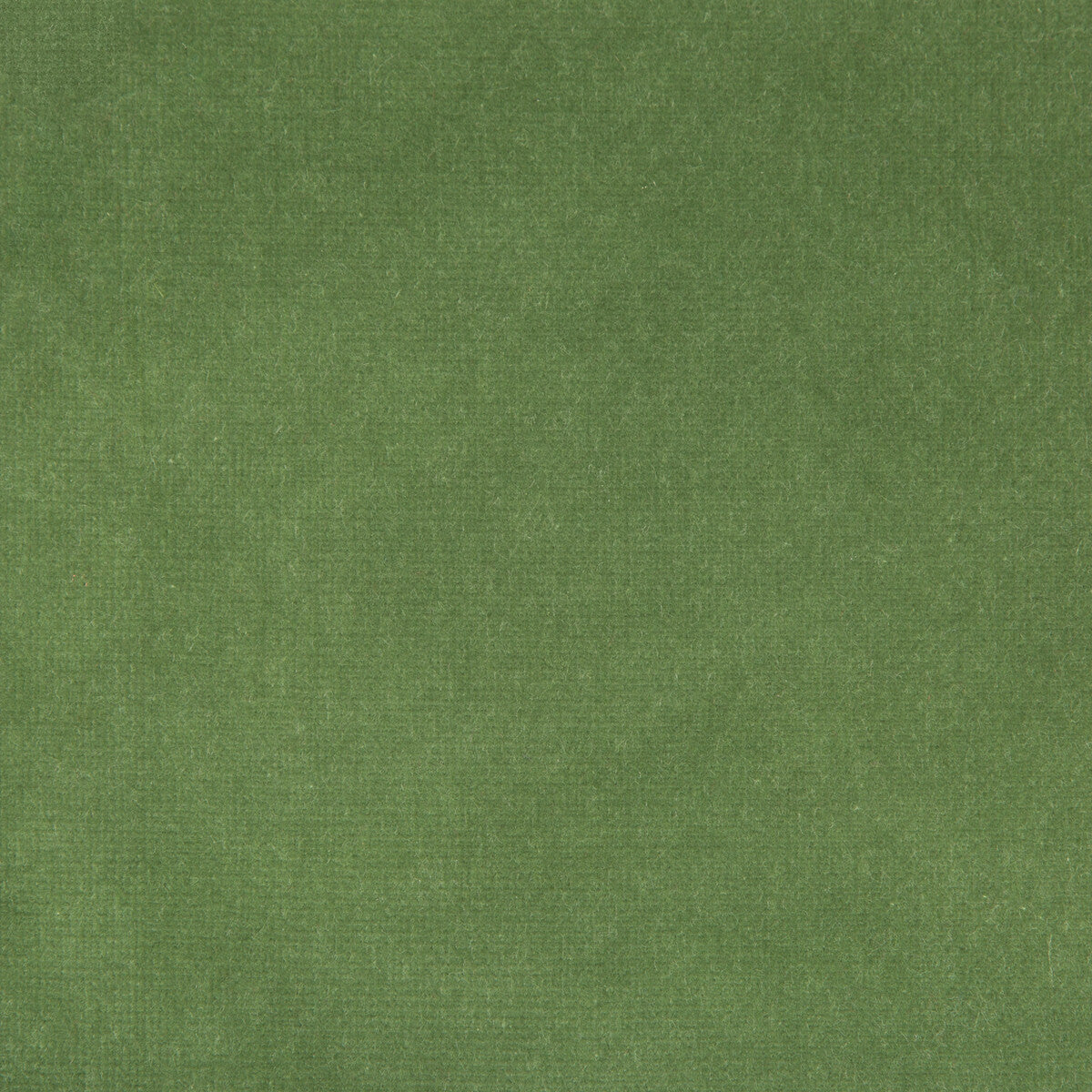 KRAVET DESIGN VERSAILLES.E26425.0 KRAVET DESIGN VERSAILLES-E264250 Fabric - Eade's Wallpaper