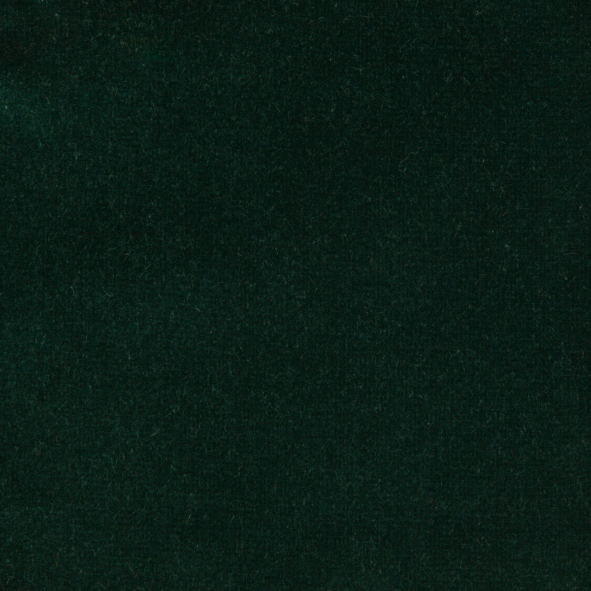 KRAVET DESIGN VERSAILLES.E26704.0 KRAVET DESIGN VERSAILLES-E267040 Fabric - Eade's Wallpaper