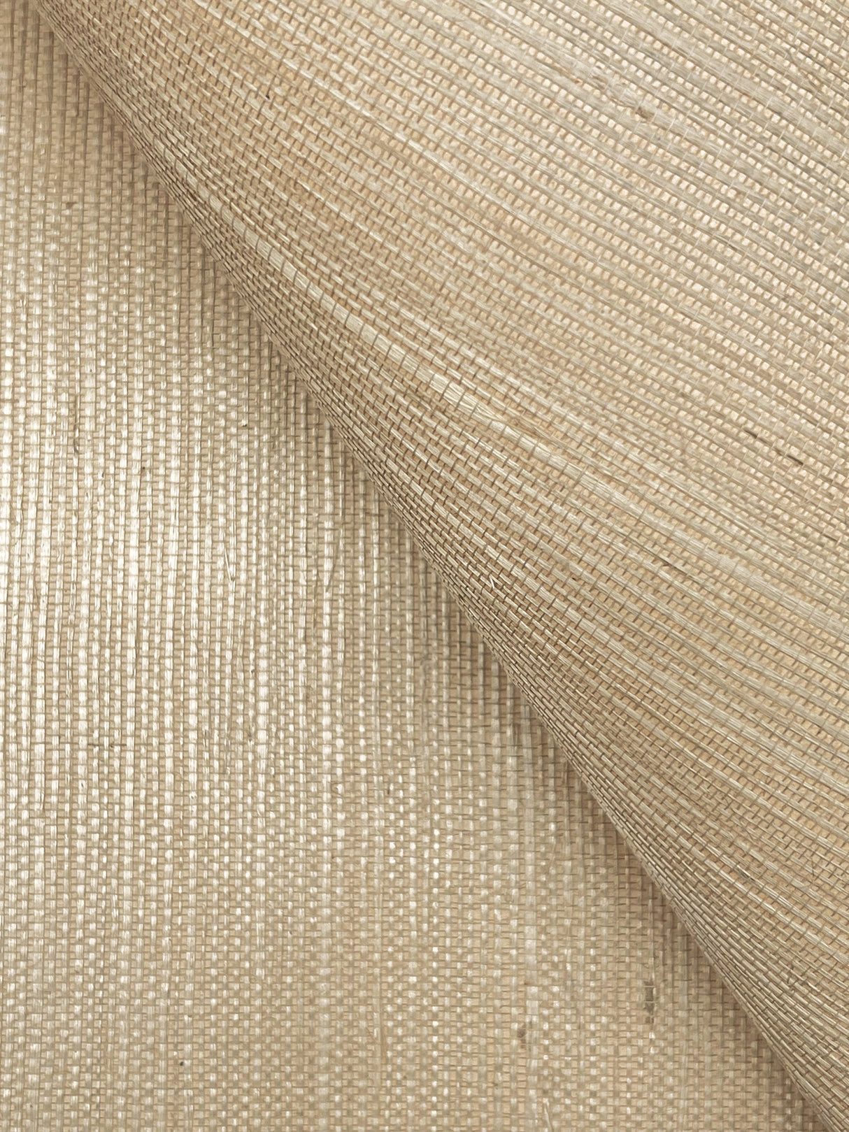 York VG4402NW Maguey Sisal Dove Wallpaper
