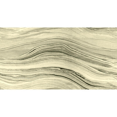 KRAVET COUTURE VISIONARY.611.0 VISIONARY PLATINUM Fabric - Eade's Wallpaper