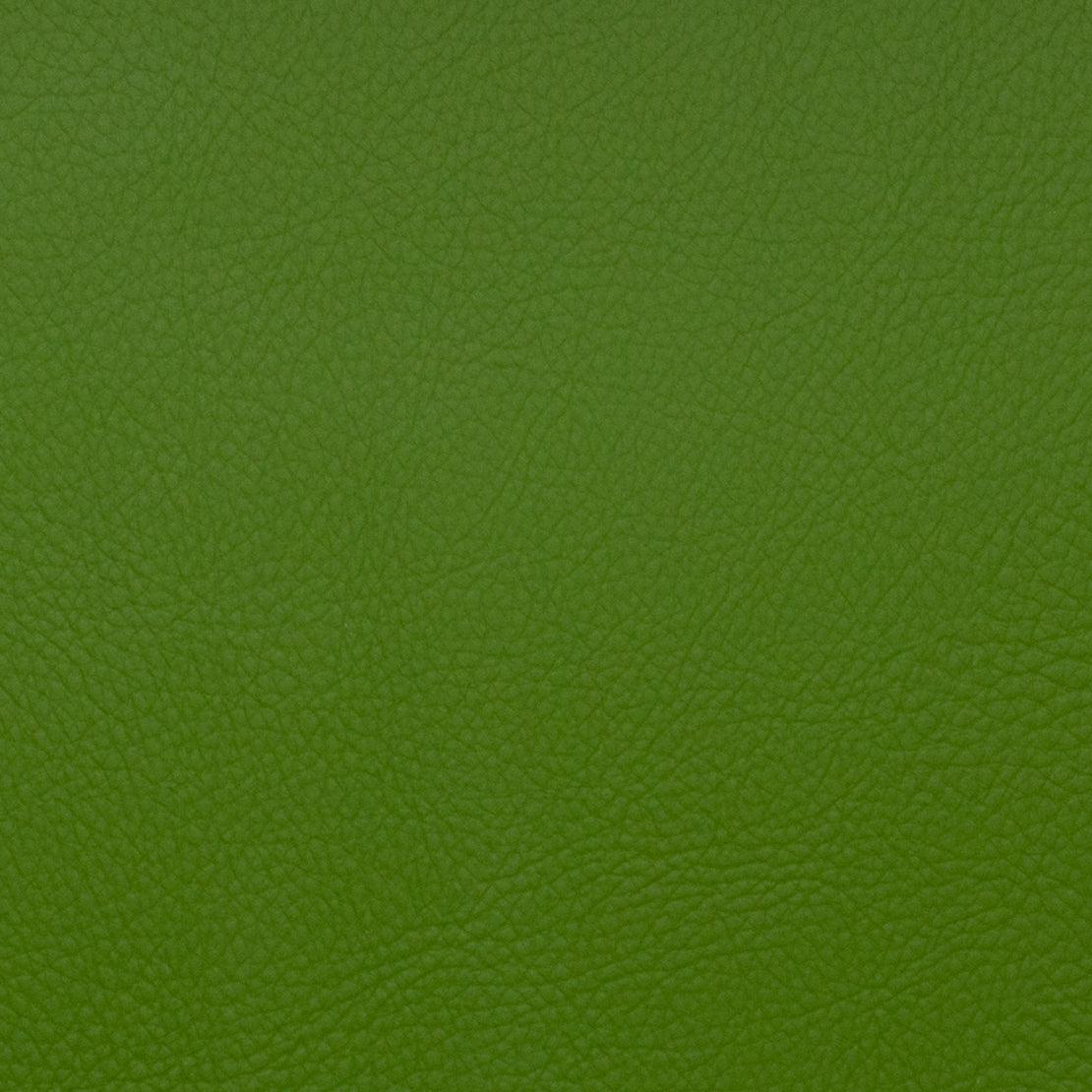 Eade’s VOYAGER FOREST FOREST